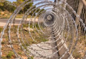 Como escolher a Concertina ideal: Guia definitivo para projetos de segurança